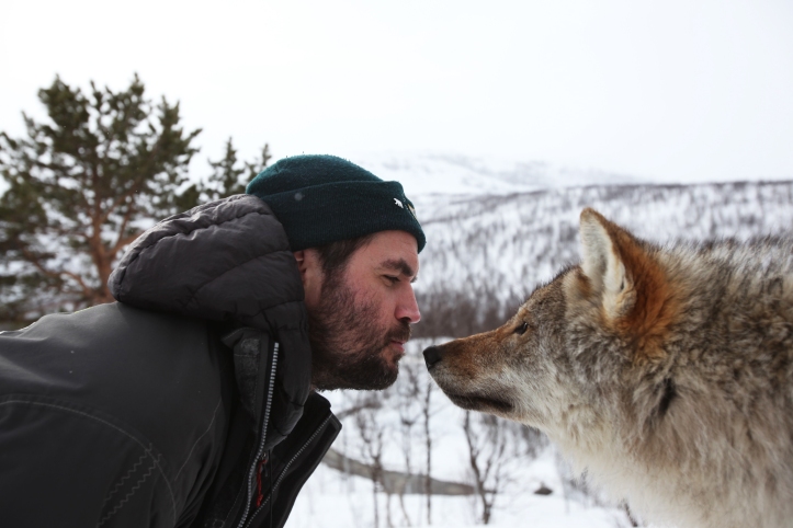 8. Henry kissing wolf, Norway copy.jpg