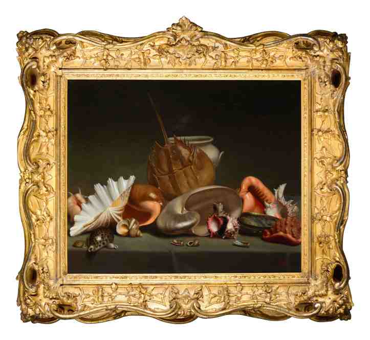 French School, A still life with sea shells and mollusks, 19th Century, Est. £4,000 – 6,000 copy.jpg